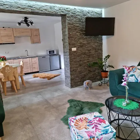 Sylwia Aparthouse - * Biały Dunajec