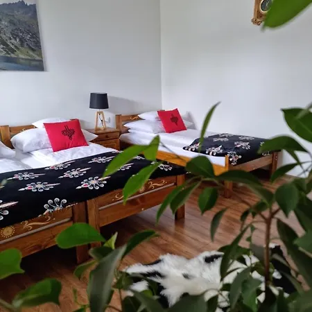 Sylwia Aparthouse - 公寓 *