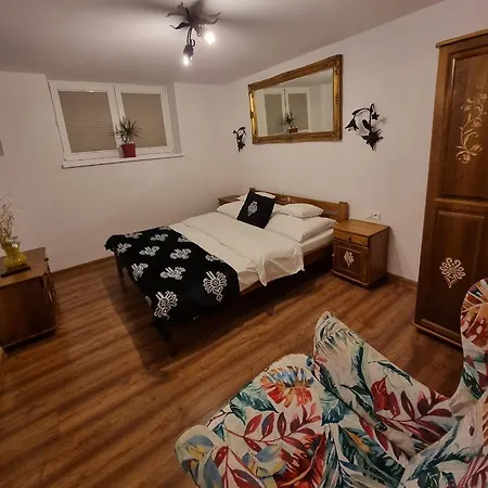 Sylwia Aparthouse - Biały Dunajec