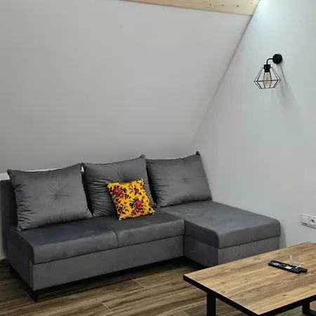 公寓 Sylwia Aparthouse - *