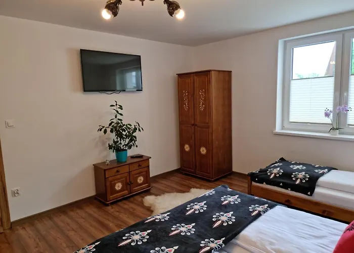 Sylwia Aparthouse - Apartament Biały Dunajec