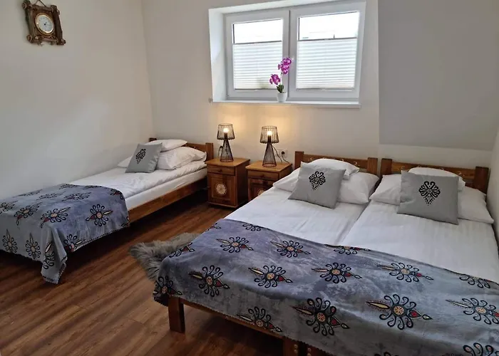 Sylwia Aparthouse - Biały Dunajec