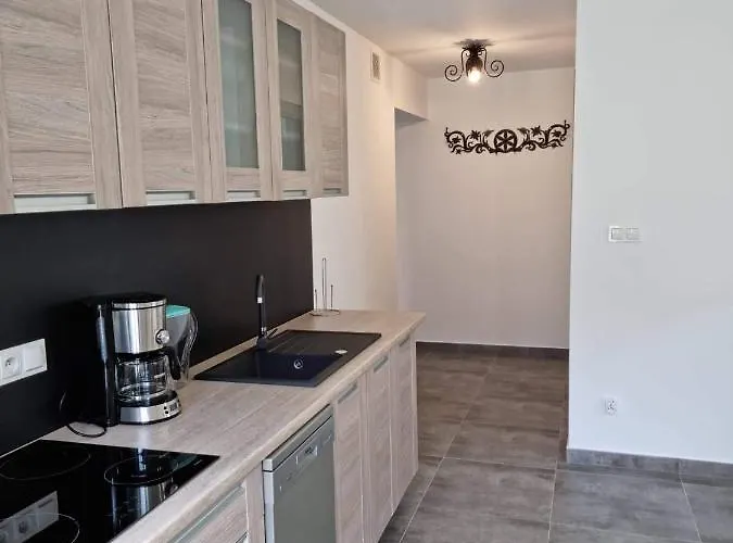 Sylwia Aparthouse - * Biały Dunajec